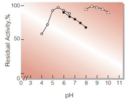 Fig.4. pH-Stability