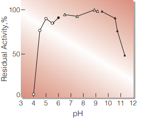 Fig.3 pH-Stability