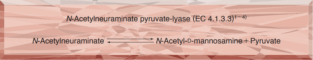 N-ACETYLNEURAMINIC ACID ALDOLASE