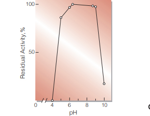 Fig.5. pH-Stability