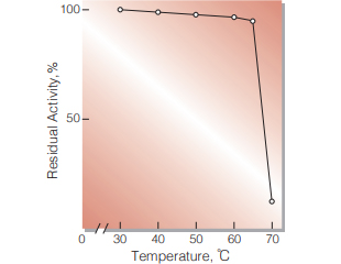 Fig.6. Thermal stability