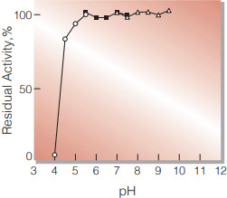 Fig.4. pH-Stability