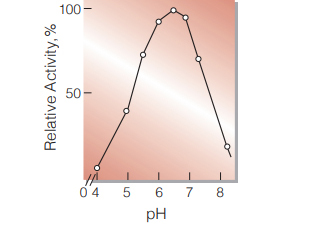Fig.6. pH-Activity