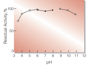 Fig.3. pH-Stability