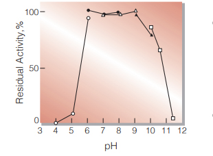 Fig.5. pH-Stability