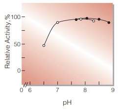 Fig.2. pH-Activity