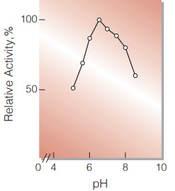 Fig.2. pH-Activity