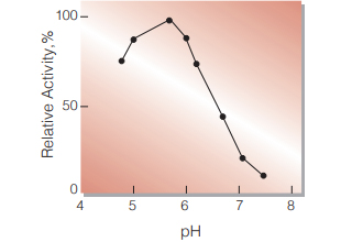 Fig.2. pH-Activity