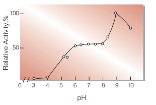 Fig.4. pH-Activity