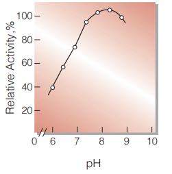 Fig.4. pH-Activity