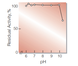 Fig.6. pH-Stability