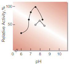 Fig.3. pH-Activity