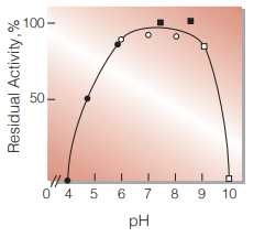 Fig.5. pH-Stability
