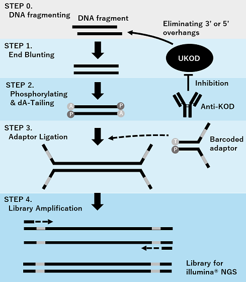 mechanism