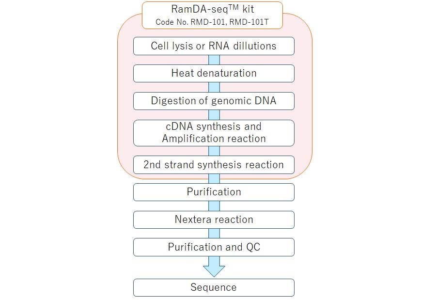 RMD Workflow