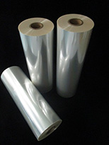 TOYOBO ESTER® GS