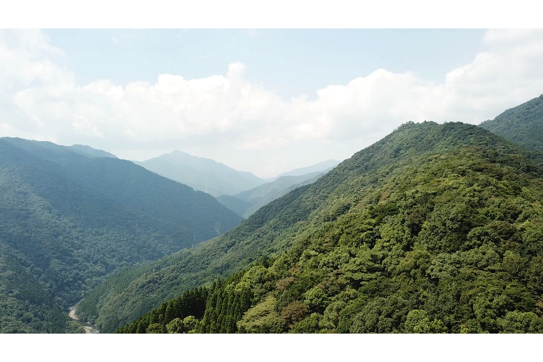 “Toyobo Aya-no-Mori” forest