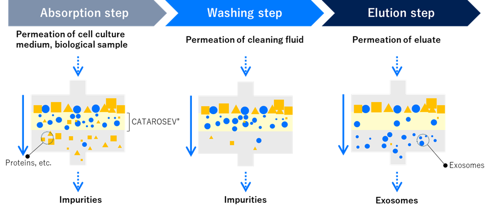 CATAROSEVTM’s recovery steps