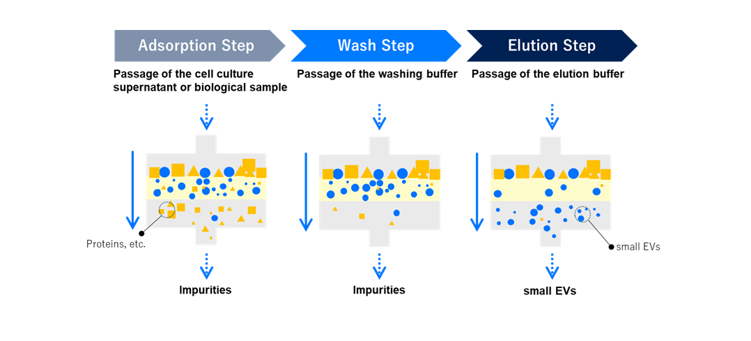 catarosev workflow2