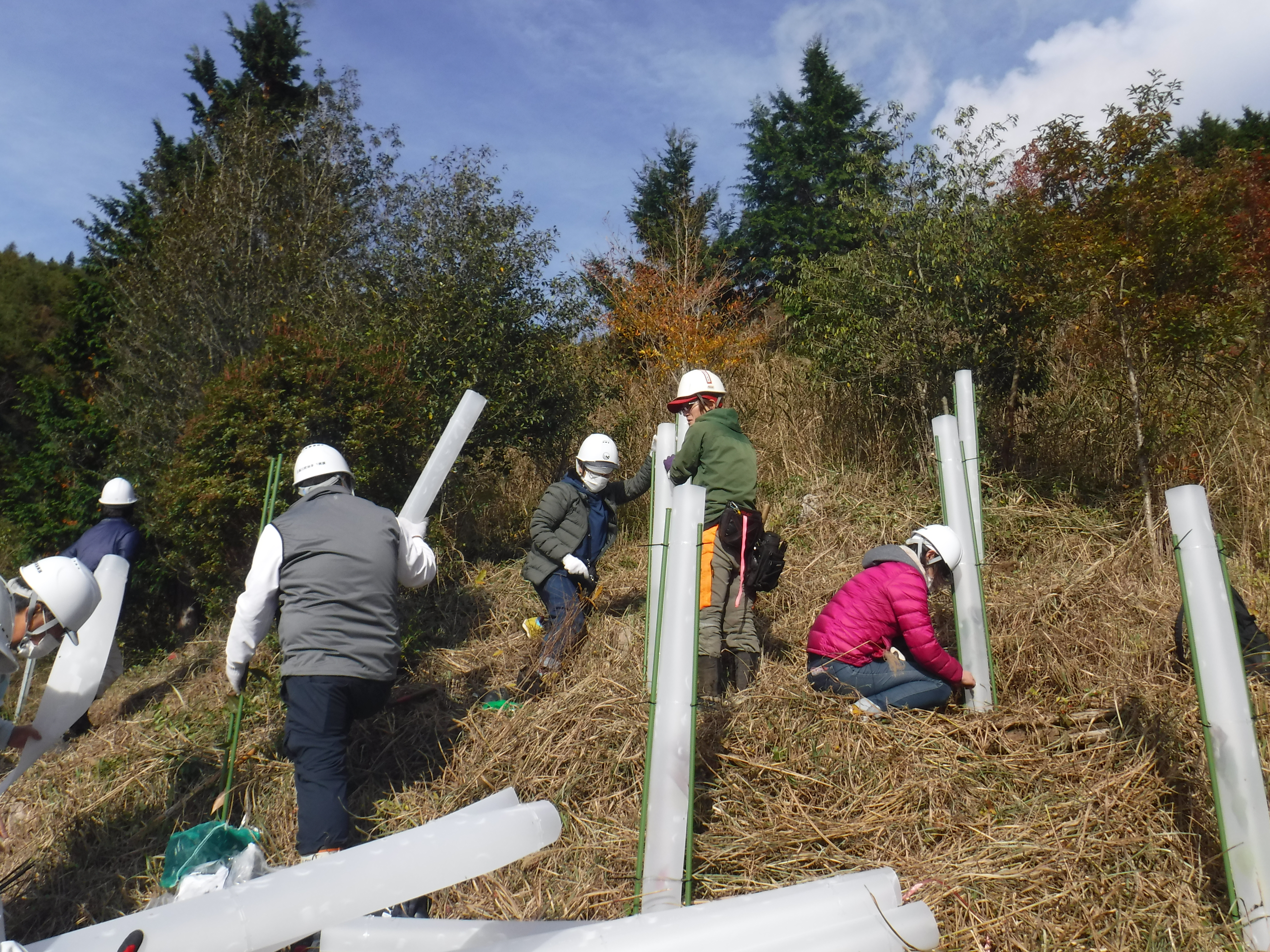 Otsu Citizen Cleanup of Lake Biwa activities